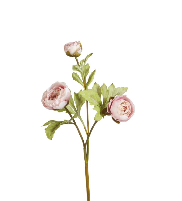 TEA ROSE STEM Cod.9165X
