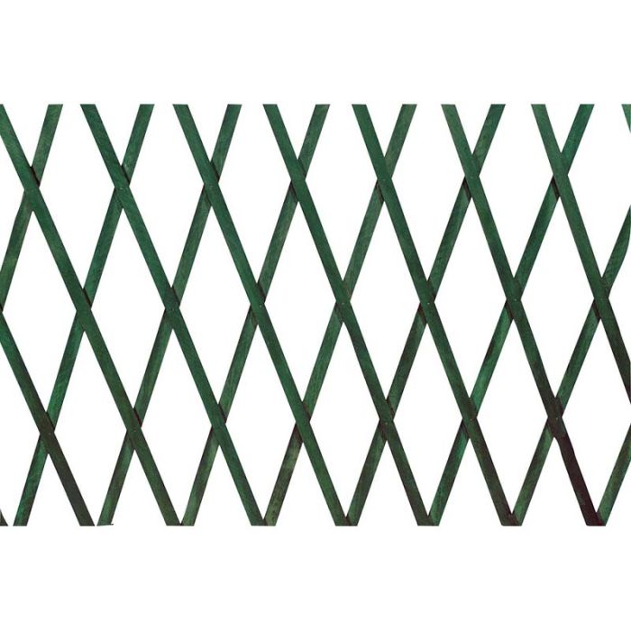 TRALICCIO LEGNO 100x300 VERDE