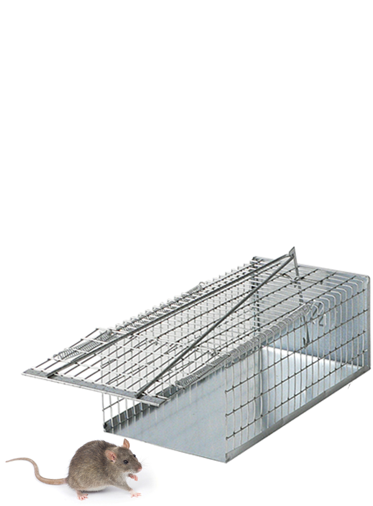 TRAPPOLA TOPI GALLERIA cm 30 TRAPPOLA TOPI GALLERIA cm 30