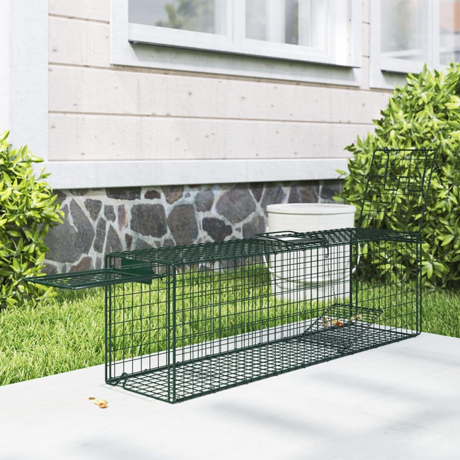 TRAPPOLA x ANIMALI CORTILE 2 Porte TRAPPOLA x ANIMALI CORTILE 2 Porte
