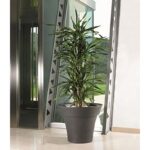 VASO MISIA RESINA cm 30 Nero Perla