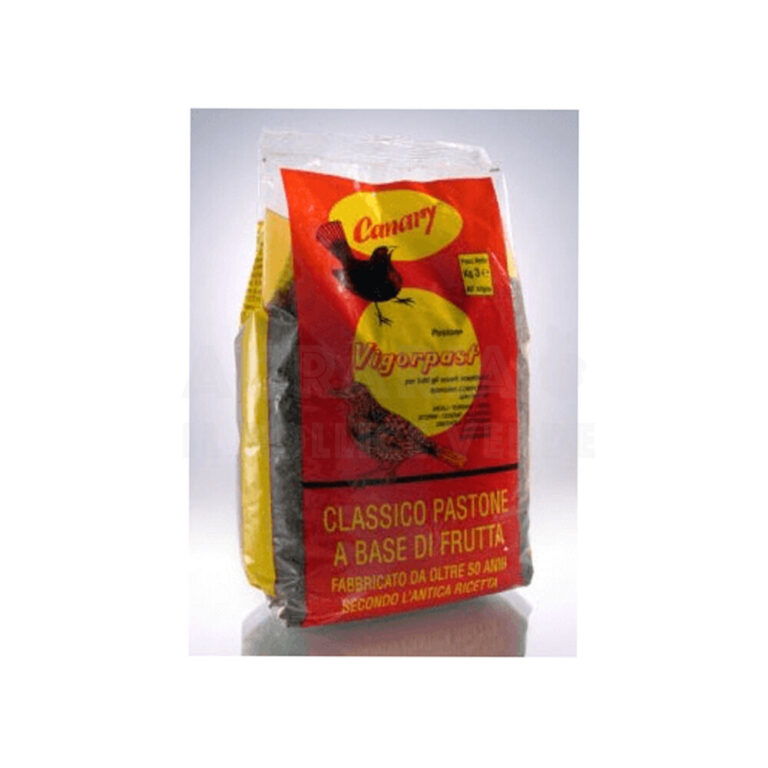 VIGORPAST PASTONE kg 1.5
