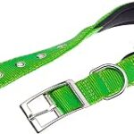 COLLARE CLUB CF 15/350 Verde