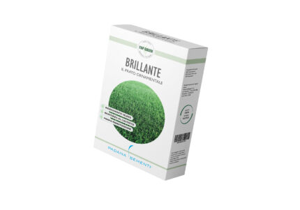 MIX TAPPETO BRILLANTE gr 500