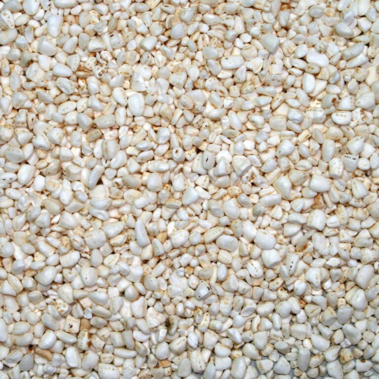 MIX RISO SOFFIATO c/VERDURE kg 5 Gisea